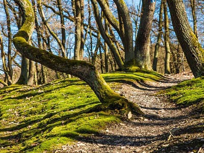 DDOS在线攻击平台