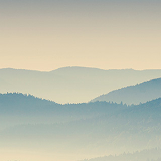 攻击网站在线工具