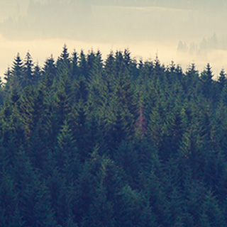 温暖的攻击网站的方法