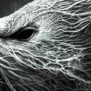 ddos在线压力测试平台