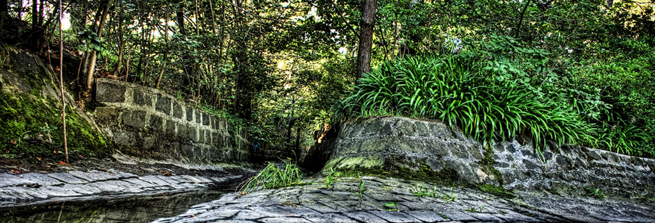 攻击网站的方法